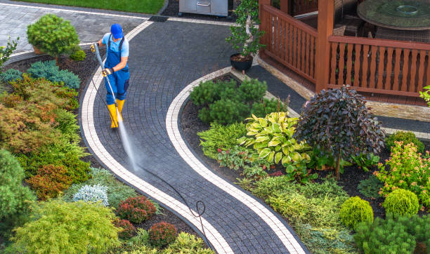 Best Local Pressure Washing Services  in Apache Junction, AZ